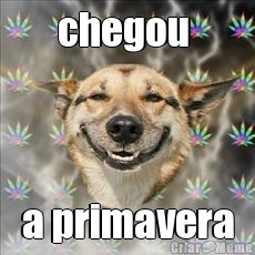 chegou  a primavera
