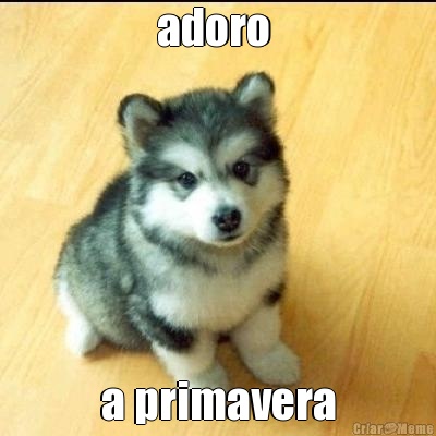 adoro  a primavera