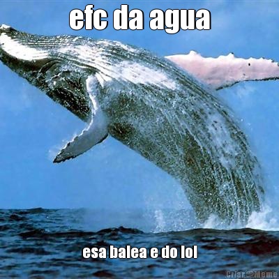 efc da agua esa balea e do lol