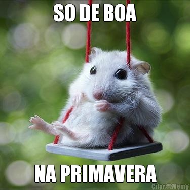 SO DE BOA NA PRIMAVERA