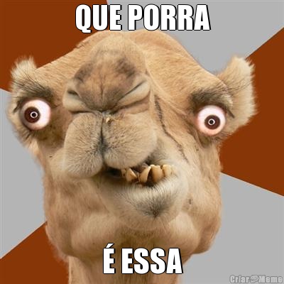 QUE PORRA � ESSA