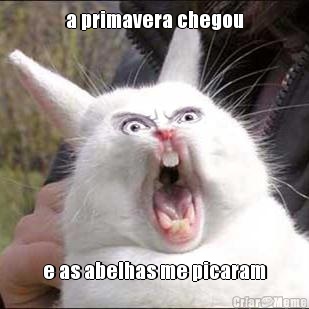 a primavera chegou e as abelhas me picaram
