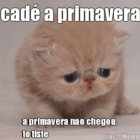 cad� a primavera a primavera nao chegou,
to tiste