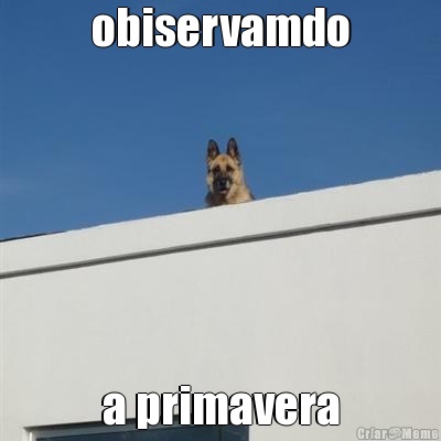 obiservamdo a primavera