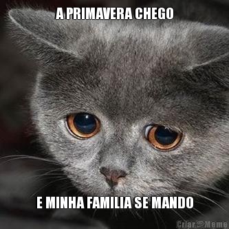 A PRIMAVERA CHEGO E MINHA FAMILIA SE MANDO