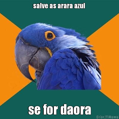 salve as arara azul  se for daora