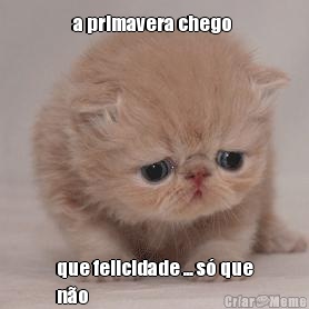 a primavera chego  que felicidade ... s� que
n�o