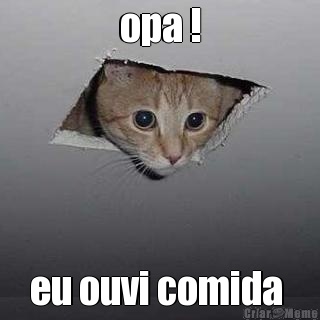 opa ! eu ouvi comida 
