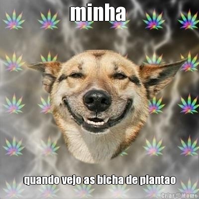 minha  quando vejo as bicha de plantao