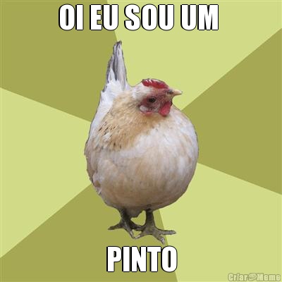 OI EU SOU UM  PINTO