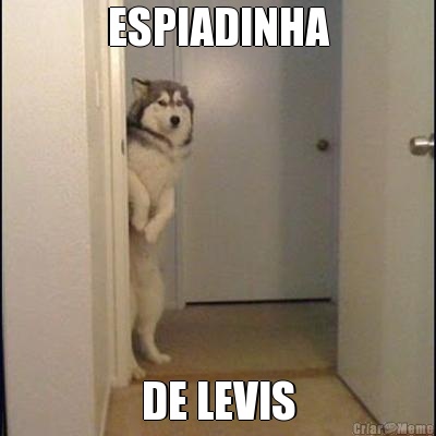 ESPIADINHA DE LEVIS