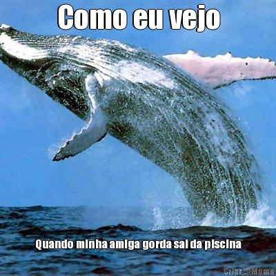 Como eu vejo Quando minha amiga gorda sai da piscina