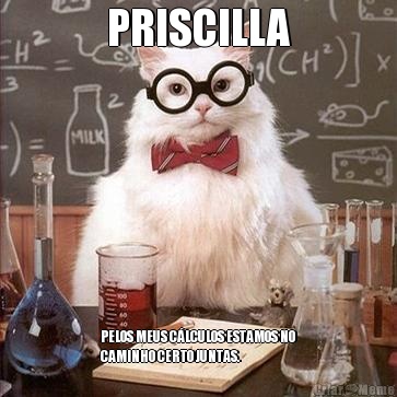 PRISCILLA PELOS MEUS C�LCULOS ESTAMOS NO
CAMINHO CERTO JUNTAS.