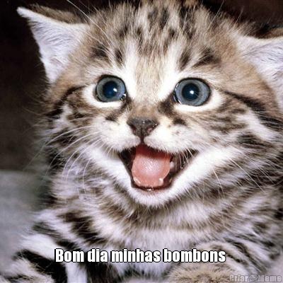  Bom dia minhas bombons 