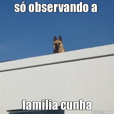 s� observando a  familia cunha