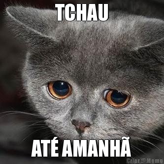 TCHAU AT� AMANH�