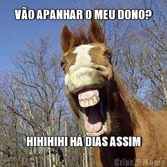 V�O APANHAR O MEU DONO? HIHIHIHI H� DIAS ASSIM