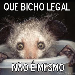que bicho legal  n�o � mesmo