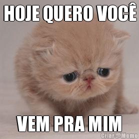 HOJE QUERO VOC� VEM PRA MIM