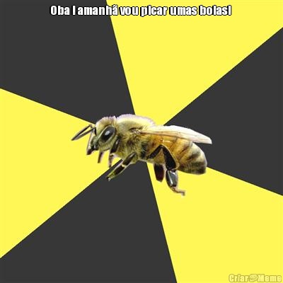 Oba ! amanh� vou picar umas bolas!  