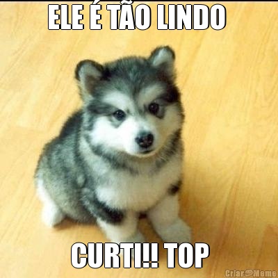 ELE � T�O LINDO  CURTI!! TOP