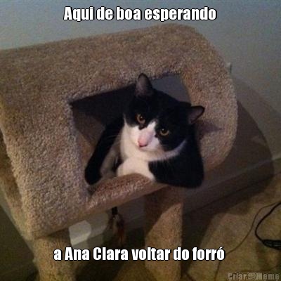 Aqui de boa esperando a Ana Clara voltar do forr� 