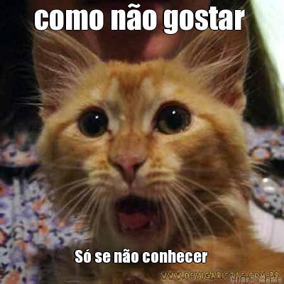como n�o gostar  S� se n�o conhecer 