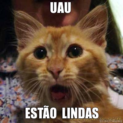 UAU  EST�O  LINDAS