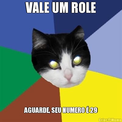 VALE UM ROLE AGUARDE, SEU NUMERO � 29