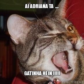 AI ADRIANA TA  .... GATINHA HEIN !!!!!
