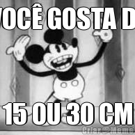 VOC� GOSTA DE 15 OU 30 CM