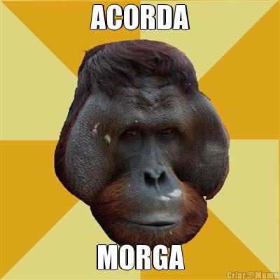 ACORDA MORGA