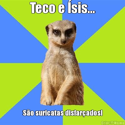 Teco e �sis... S�o suricatas disfar�ados!