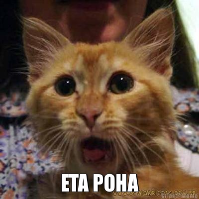  ETA POHA