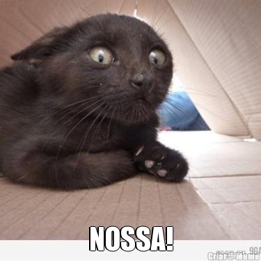  NOSSA!