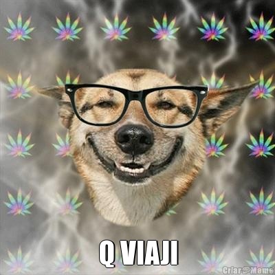 Q VIAJI