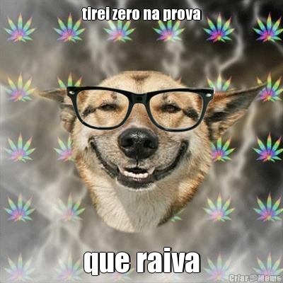 tirei zero na prova que raiva