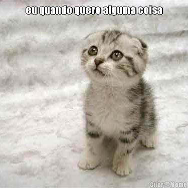 eu quando quero alguma coisa 