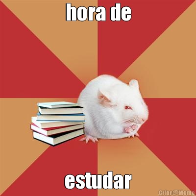 hora de estudar