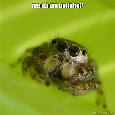 me da um bolinho? 