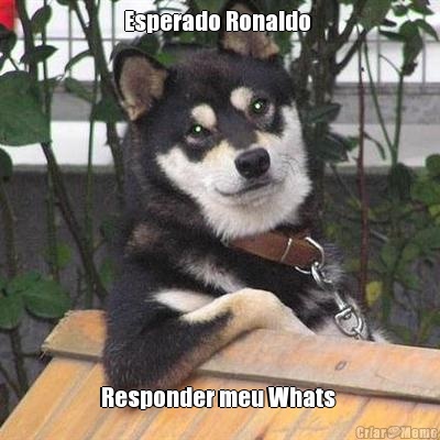 Esperado Ronaldo  Responder meu Whats 