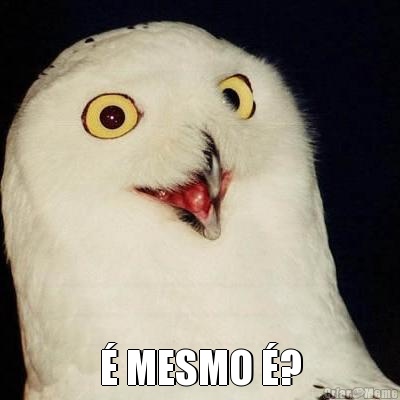  � MESMO �?