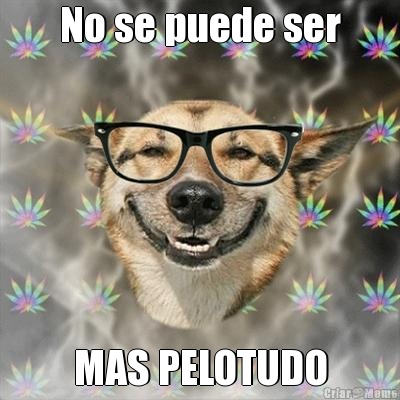 No se puede ser MAS PELOTUDO