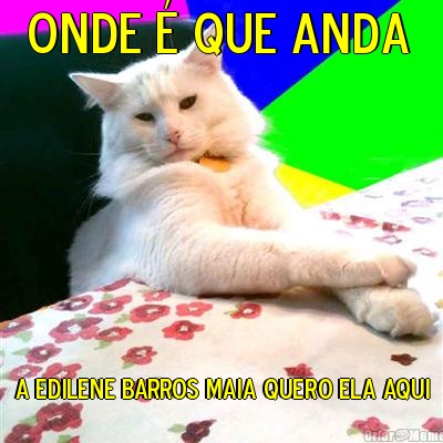 onde � que anda  a Edilene BARROS maia quero ela aqui
