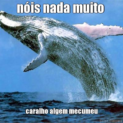 n�is nada muito  caralho algem mecumeu