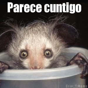 Parece cuntigo 