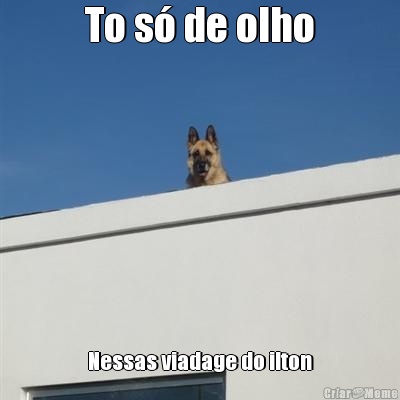 To s� de olho Nessas viadage do ilton