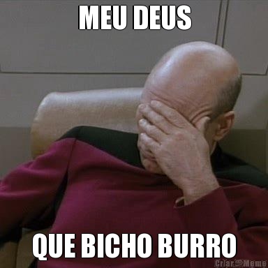 MEU DEUS QUE BICHO BURRO