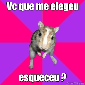 Vc que me elegeu esqueceu ?
