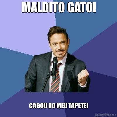 MALDITO GATO! CAGOU NO MEU TAPETE!